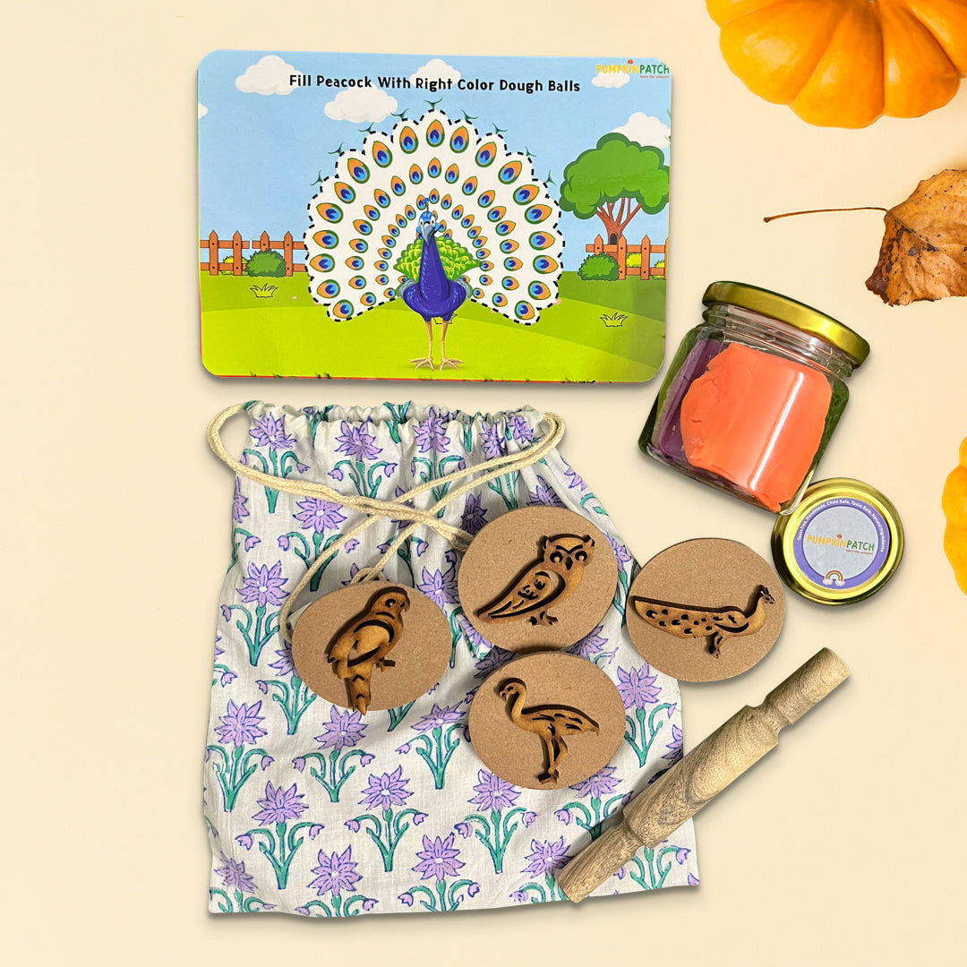 Happy Birdie Play Dough Kit